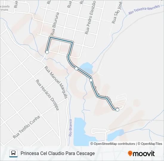 202 PRINCESA - CORONEL CLAUDIO L1 Bus Line Map
