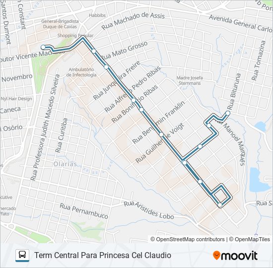 202 PRINCESA - CORONEL CLAUDIO L1 bus Line Map