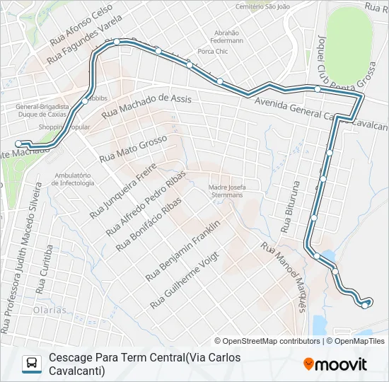 202 PRINCESA - CORONEL CLAUDIO L1 Bus Line Map