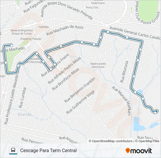 202 PRINCESA - CORONEL CLAUDIO L1 Bus Line Map