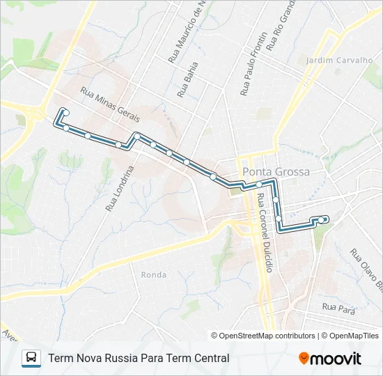 218 TERMINAL CENTRAL / TERMINAL NOVA RUSSIA Bus Line Map