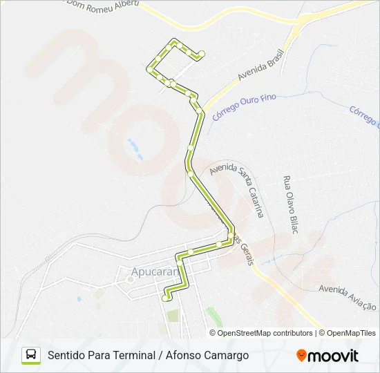 210 AFONSO CAMARGO Bus Line Map
