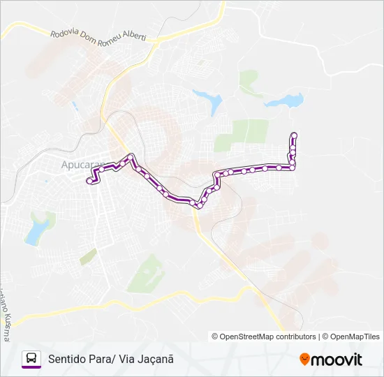 Mapa da linha 205 RESIDENCIAL SUMATRA de ônibus