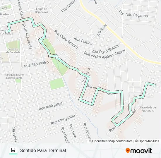 175 JD MILANI Bus Line Map