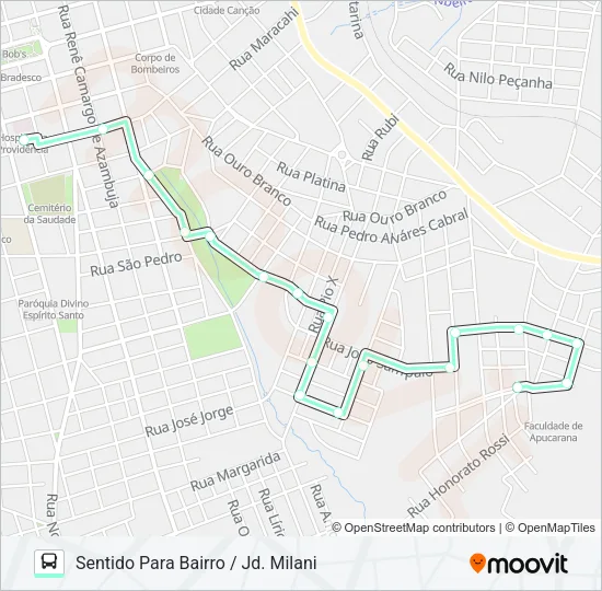 175 JD MILANI Bus Line Map