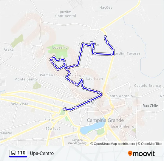 110 Bus Line Map
