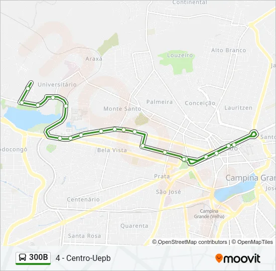 300B Bus Line Map