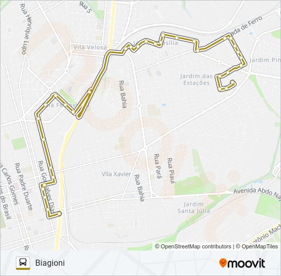 BIAGIONI / TCI bus Line Map