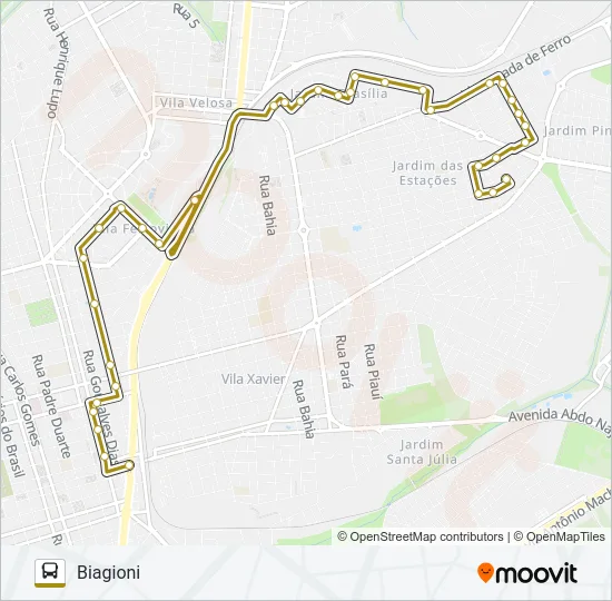 BIAGIONI / TCI Bus Line Map
