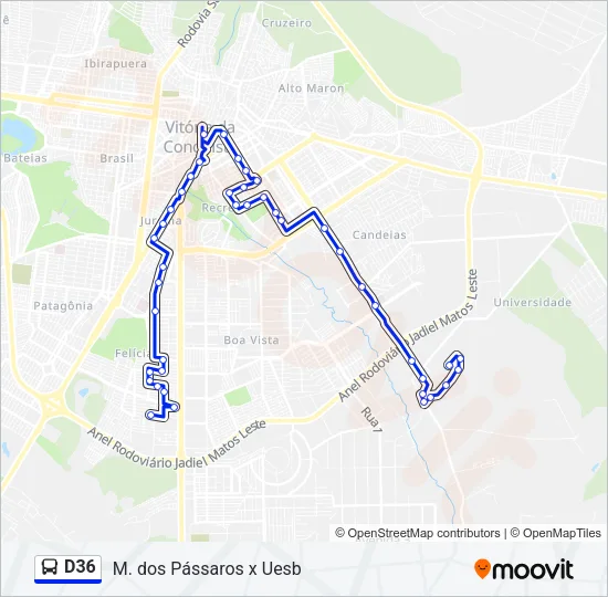 D36 Bus Line Map