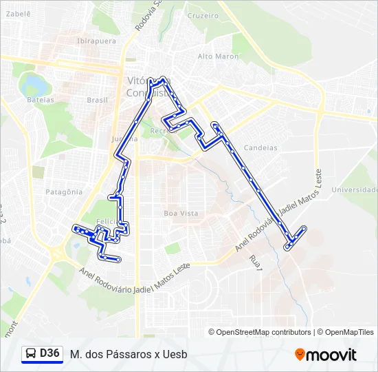 D36 Bus Line Map
