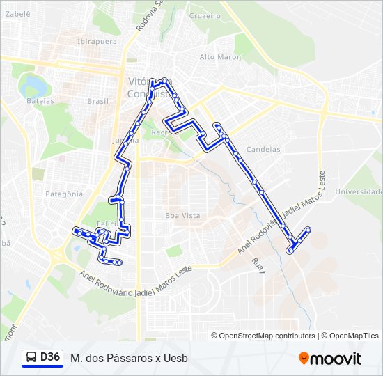 d36 Route: Schedules, Stops & Maps - M. Dos Pássaros (Updated)