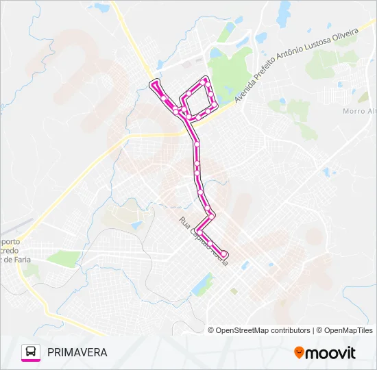 04 PRIMAVERA Bus Line Map