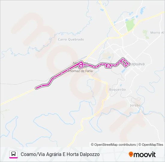 034 COAMO Bus Line Map