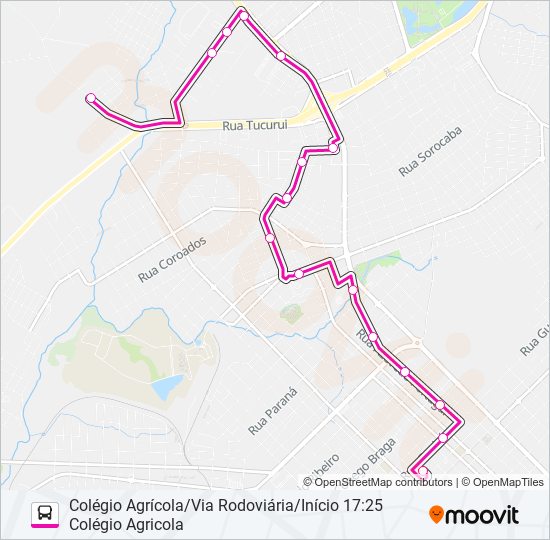 019 COLÉGIO AGRÍCOLA VIA RODOVIÁRIA bus Line Map