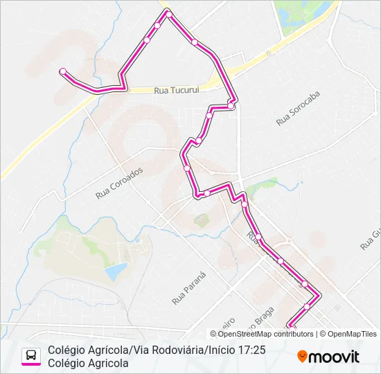 019 COLÉGIO AGRÍCOLA VIA RODOVIÁRIA Bus Line Map