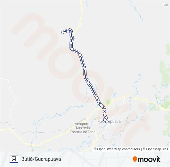 02 PALMEIRINHA/GUARAPUAVA Bus Line Map