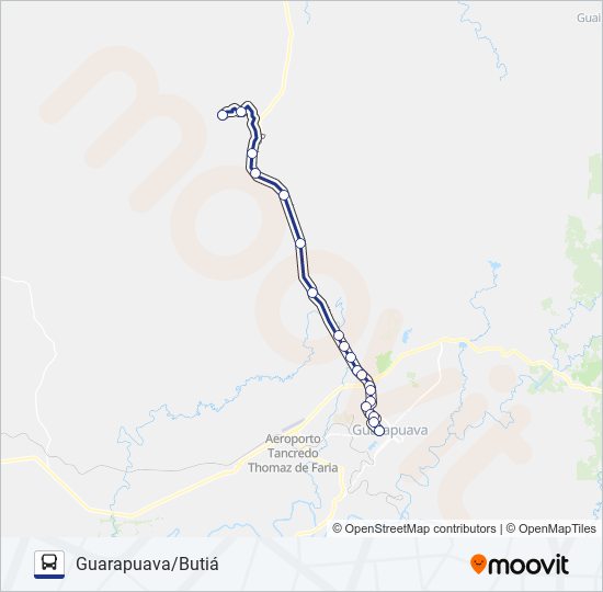 01 GUARAPUAVA/PAMEIRINHA bus Line Map