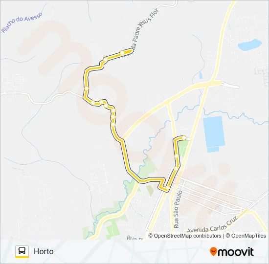 03 CENTRO / HORTO Bus Line Map