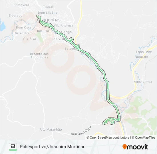 19 Bus Line Map