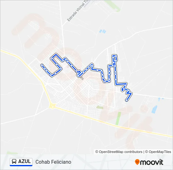 AZUL Bus Line Map