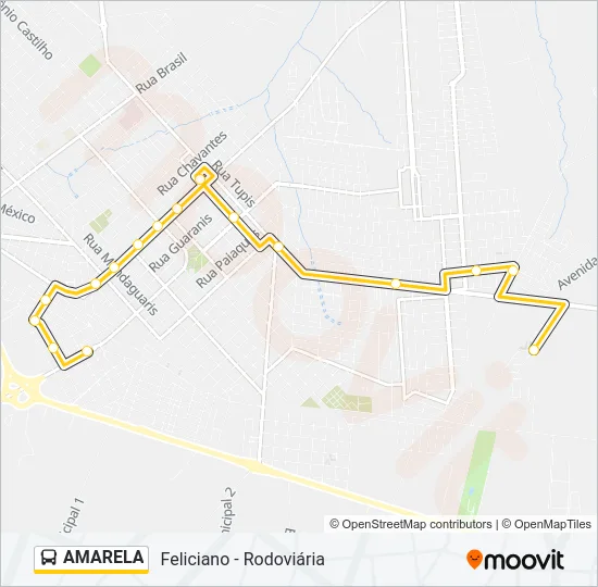 AMARELA Bus Line Map