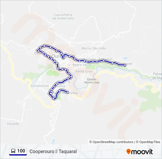 100 Bus Line Map