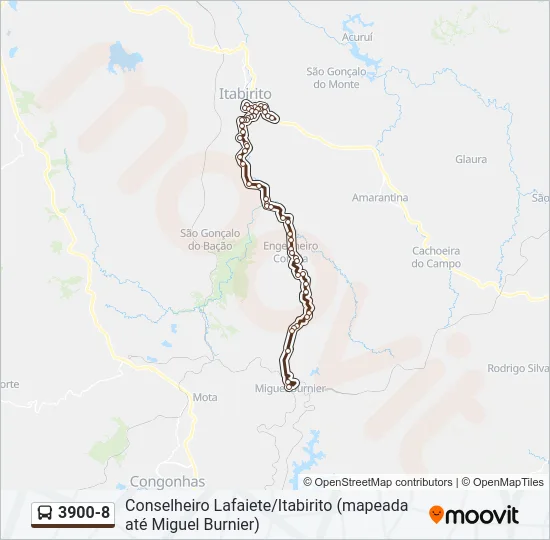 3900-8 Bus Line Map