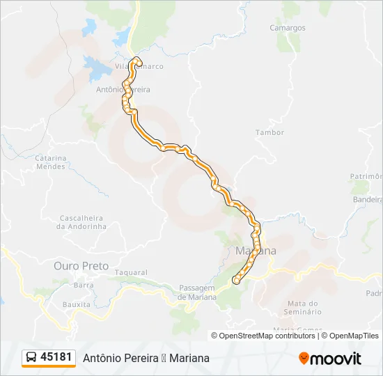 45181 Bus Line Map
