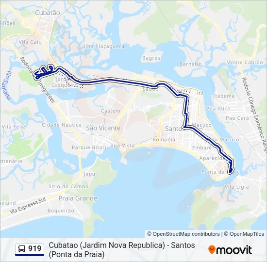 919 Bus Line Map