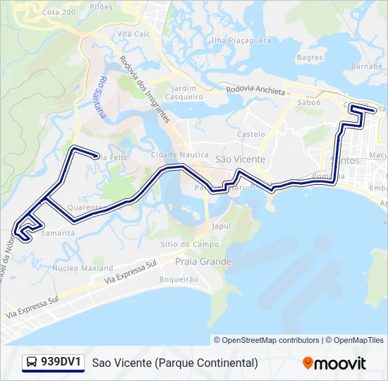 939DV1 Bus Line Map