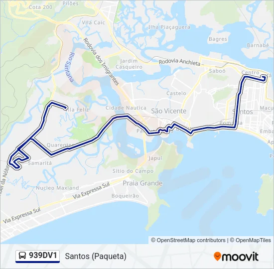 939DV1 Bus Line Map