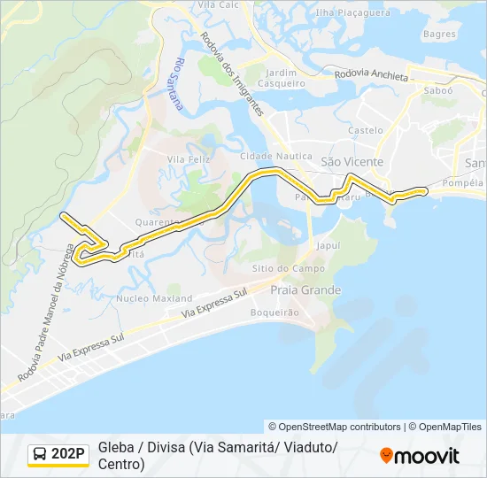 202P Bus Line Map