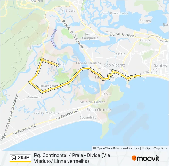 203P Bus Line Map