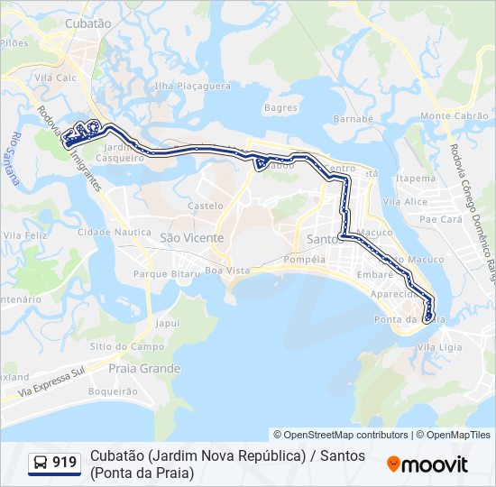 919 bus Line Map