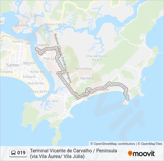 019 Bus Line Map