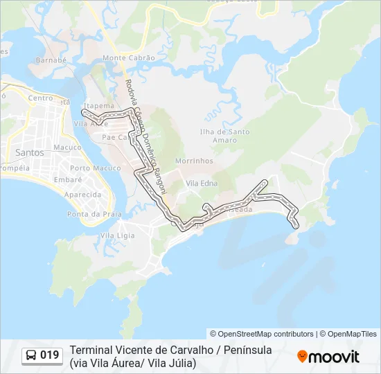 019 Bus Line Map