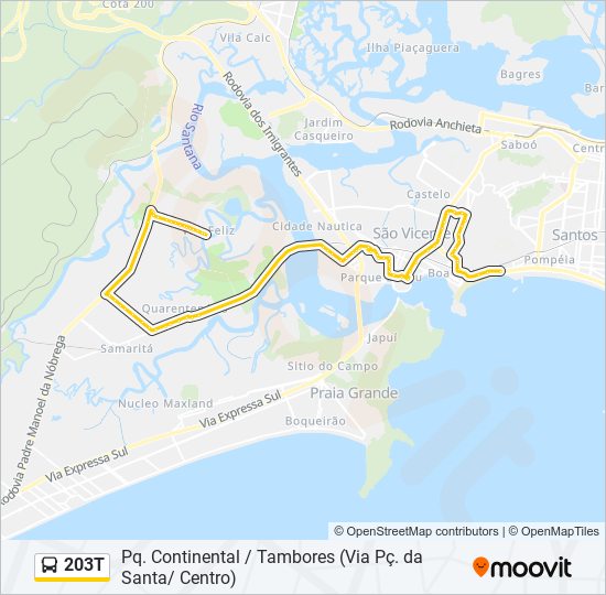 Mapa da linha 203T de ônibus