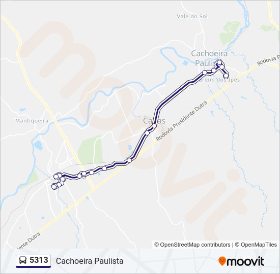 5313  Line Map