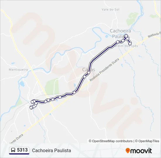 5313  Line Map