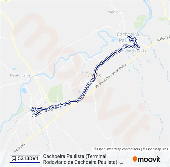 5313DV1 Bus Line Map