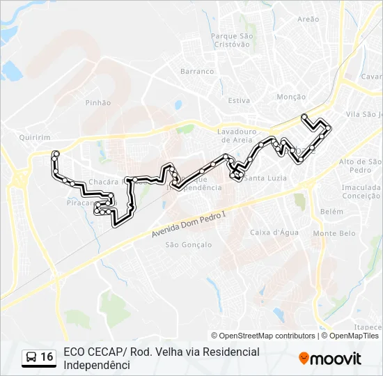 16 Bus Line Map