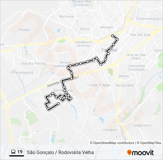 19 bus Line Map