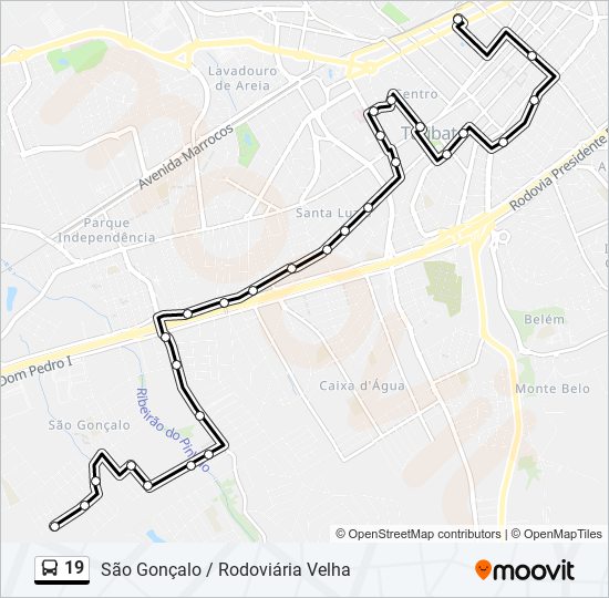 19 bus Line Map