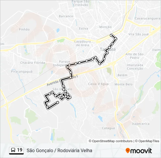 19 Bus Line Map
