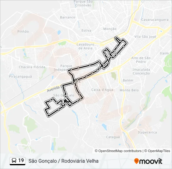 19 Bus Line Map