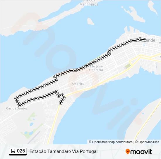 025 Bus Line Map
