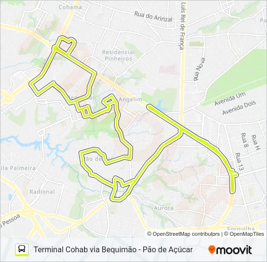 A554 PEDRA CAÍDA / TERMINAL COHAMA Bus Line Map