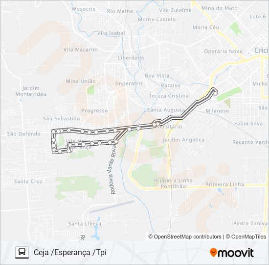 319B TPI /ESPERANÇA /CEJA bus Line Map