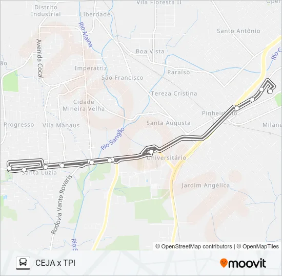 319D CEJA /TPI / SANTA LUZIA /TPI Bus Line Map